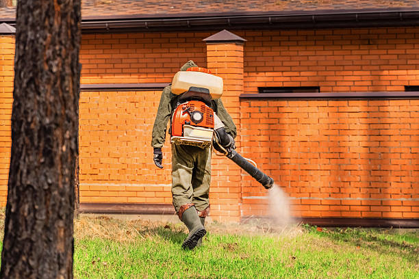 Trusted Bed Bug Control service in Oak Hill, TN - Nex Pest Control